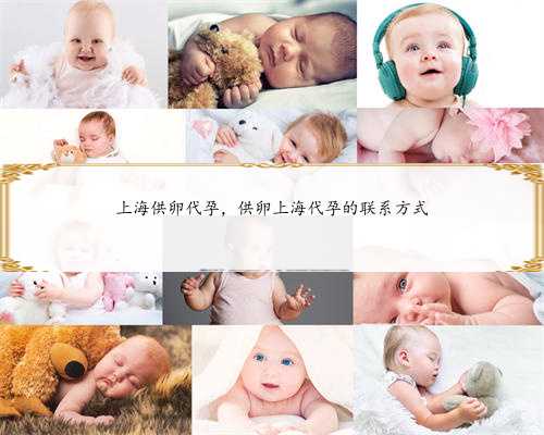 上海供卵代孕，供卵上海代孕的联系方式