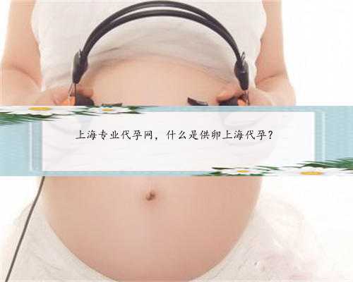上海专业代孕网，什么是供卵上海代孕？