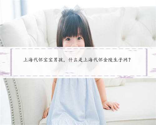 上海代怀宝宝男孩，什么是上海代怀金陵生子网？
