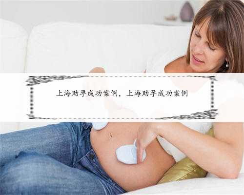 上海助孕成功案例，上海助孕成功案例