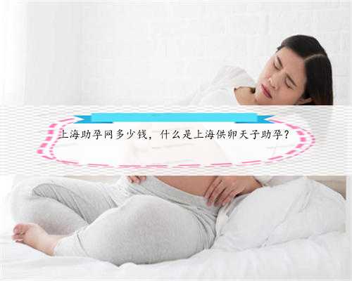 上海助孕网多少钱，什么是上海供卵天子助孕？