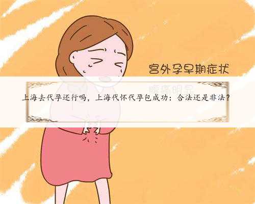 上海去代孕还行吗，上海代怀代孕包成功：合法还是非法？