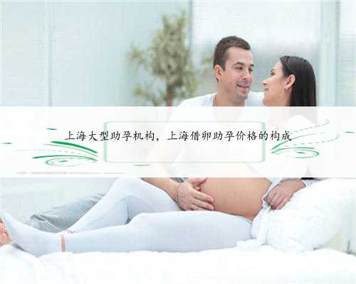 上海大型助孕机构，上海借卵助孕价格的构成