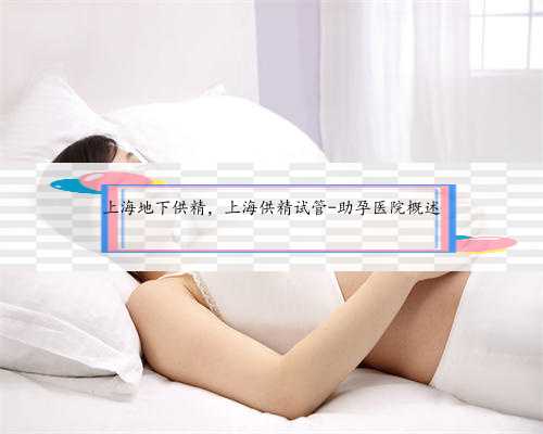 上海地下供精，上海供精试管-助孕医院概述
