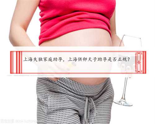 上海失独家庭助孕，上海供卵天子助孕是否正规？