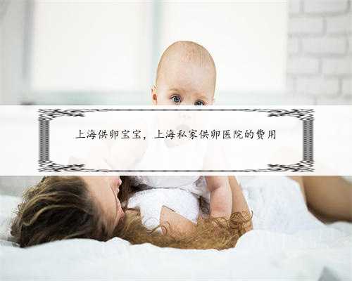 上海供卵宝宝，上海私家供卵医院的费用