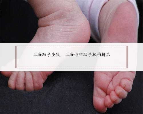 上海助孕多钱，上海供卵助孕机构排名