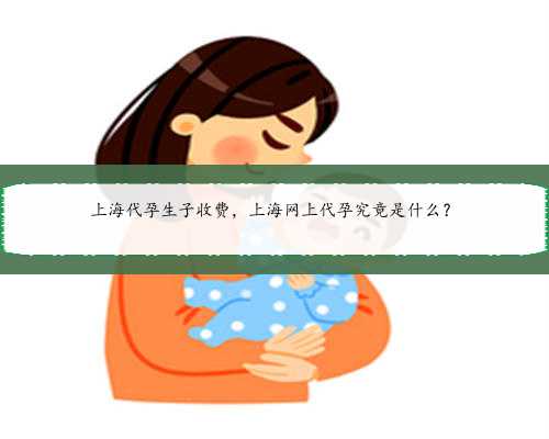 上海代孕生子收费，上海网上代孕究竟是什么？