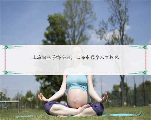 上海做代孕哪个好，上海市代孕人口概况