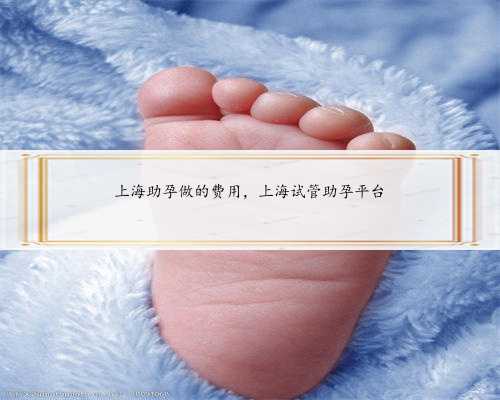 上海助孕做的费用，上海试管助孕平台
