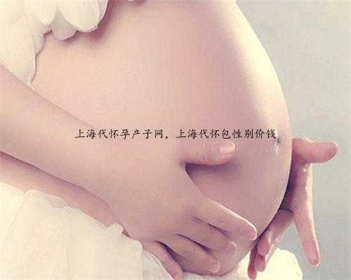 上海代怀孕产子网，上海代怀包性别价钱