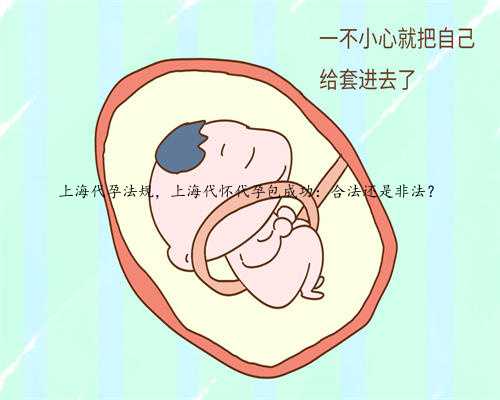 上海代孕法规，上海代怀代孕包成功：合法还是非法？