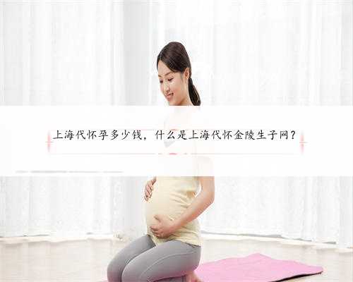 上海代怀孕多少钱，什么是上海代怀金陵生子网？