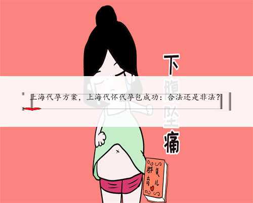 上海代孕方案，上海代怀代孕包成功：合法还是非法？