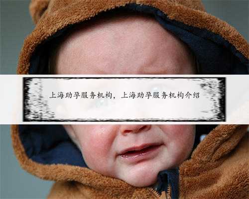 上海助孕服务机构，上海助孕服务机构介绍