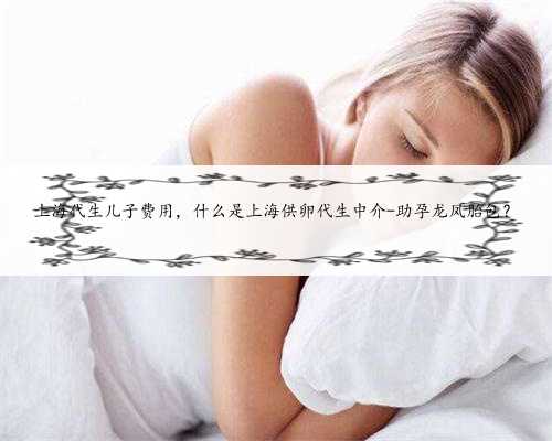 上海代生儿子费用，什么是上海供卵代生中介-助孕龙凤胎包？