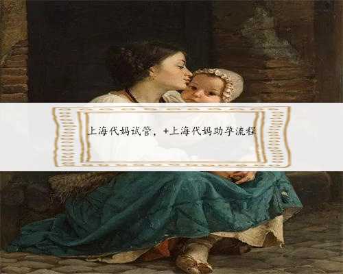 上海代妈试管， 上海代妈助孕流程