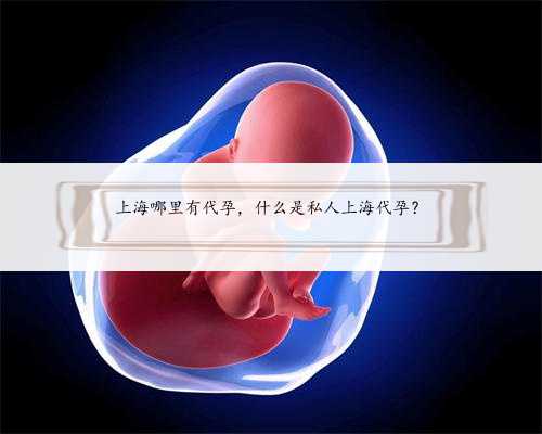 上海哪里有代孕，什么是私人上海代孕？