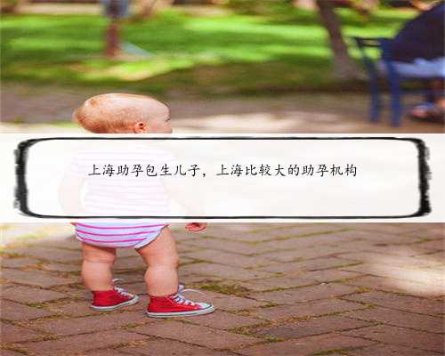 上海助孕包生儿子，上海比较大的助孕机构