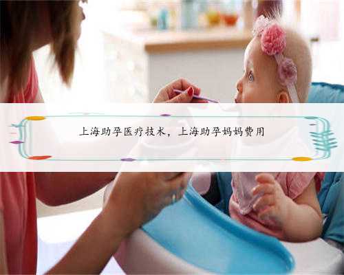 上海助孕医疗技术，上海助孕妈妈费用