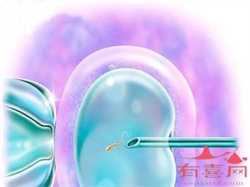 上海供卵代孕费用表_谷雨出生的女孩名字 新颖独特的女宝宝取名参考
