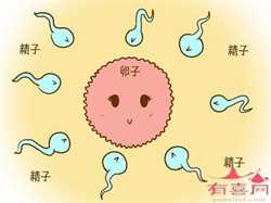 上海借卵子生子的风险，江西试管婴儿费用大约多少？附详细江西试管费用及成