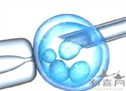 上海代生包生儿子，美国试管婴儿|移植后胚胎成功着床的早期迹象?你有吗?